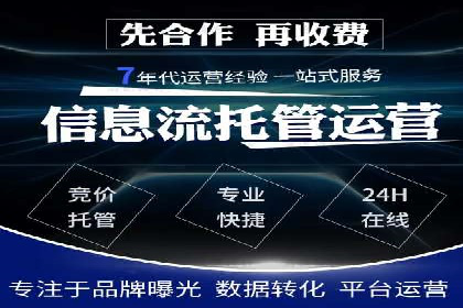 SEM投放策略：成功案例解析